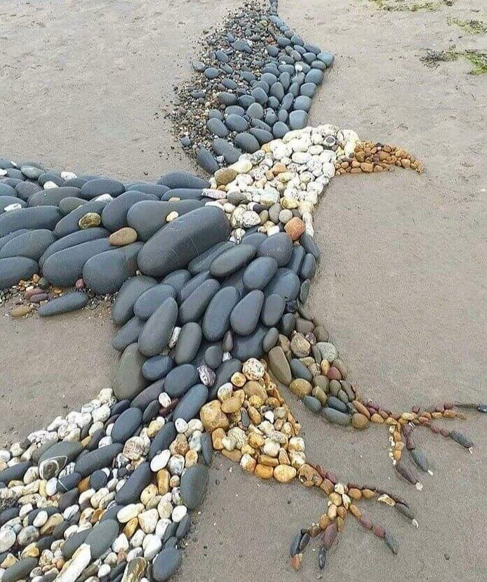 Moments That Caught Beach Goers Off Guard Thefunpost