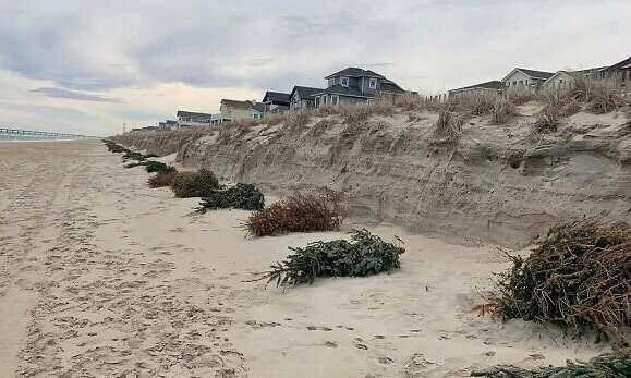 Un Buon Riutilizzo Dei Vecchi Alberi Di Natale