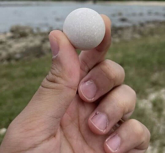 È Un Sasso Levigato O La Palla Da Golf Più Piccola Del Mondo?