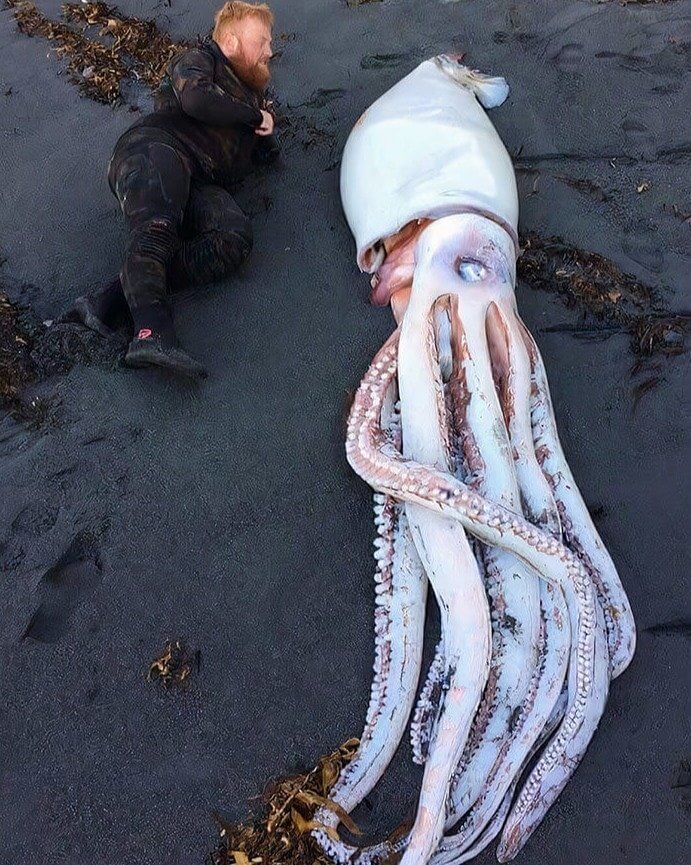 We Thought These Things Were Just in Movies