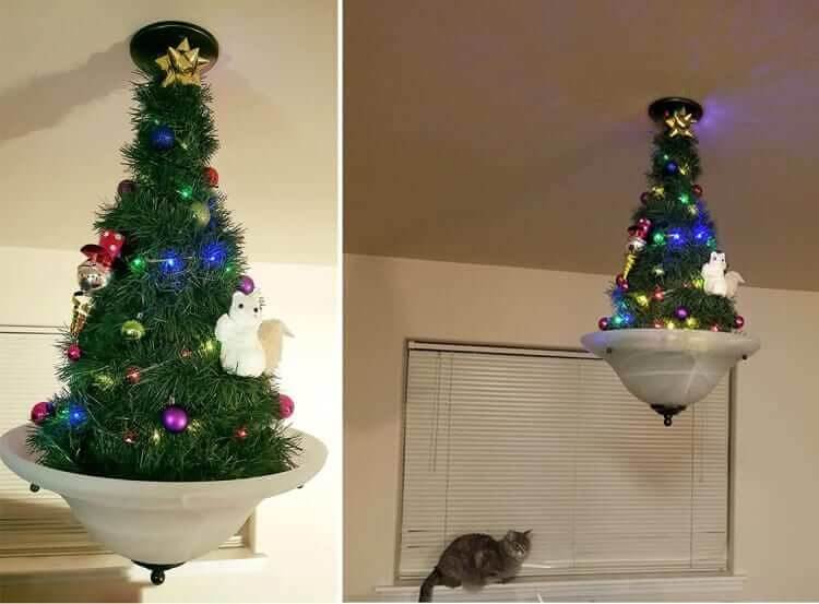 The Pet-Proof Tree