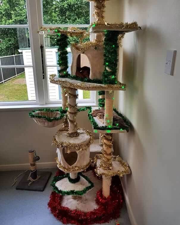 The Cat Tree, Tree