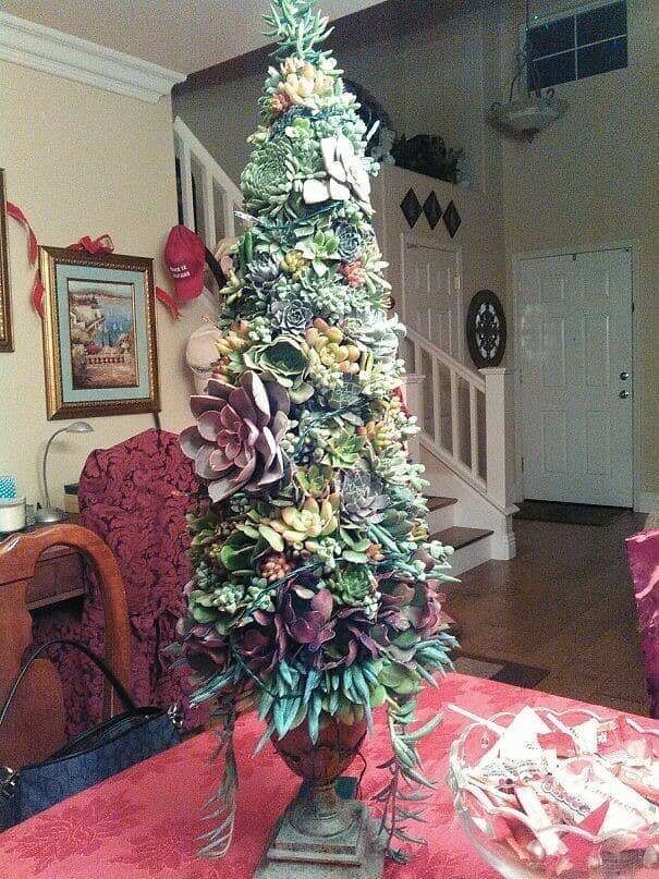 The Succulent Tree