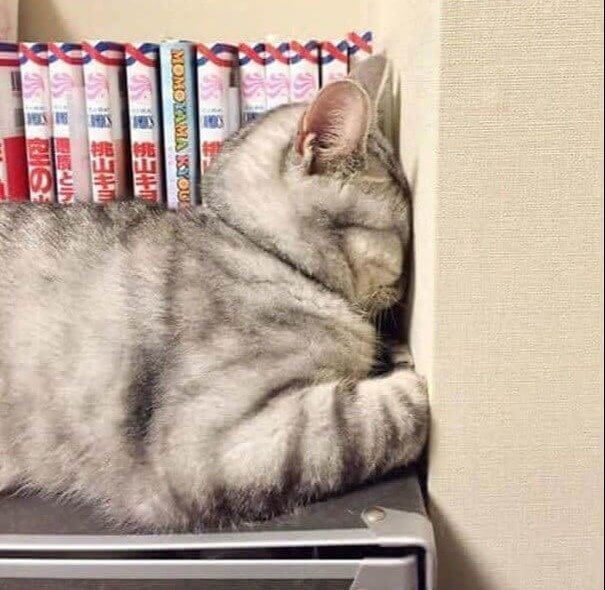 Time Out Turned Into A Nap