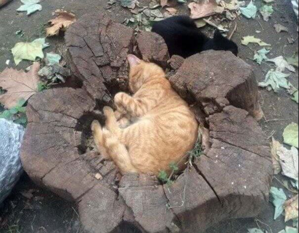 Pot Of Gold At The End Of The Rainbow