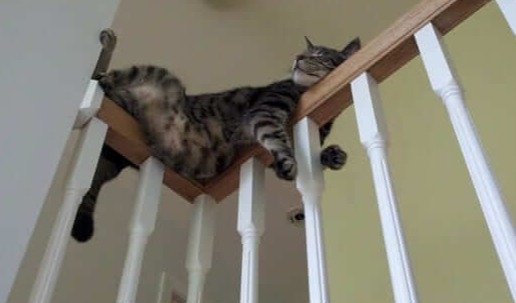 "Danger Is My Middle Name"