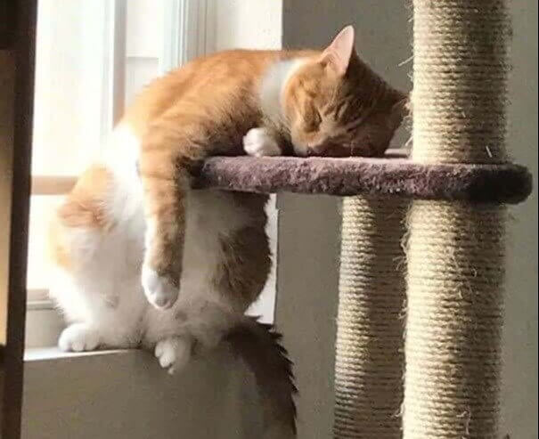 "Just Resting My Eyes For A Second"