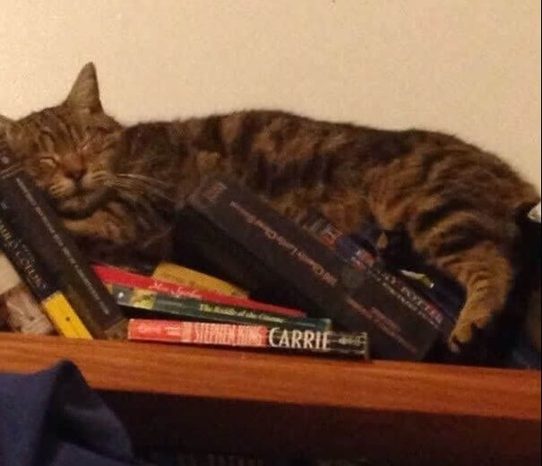 Light Bedtime Reading