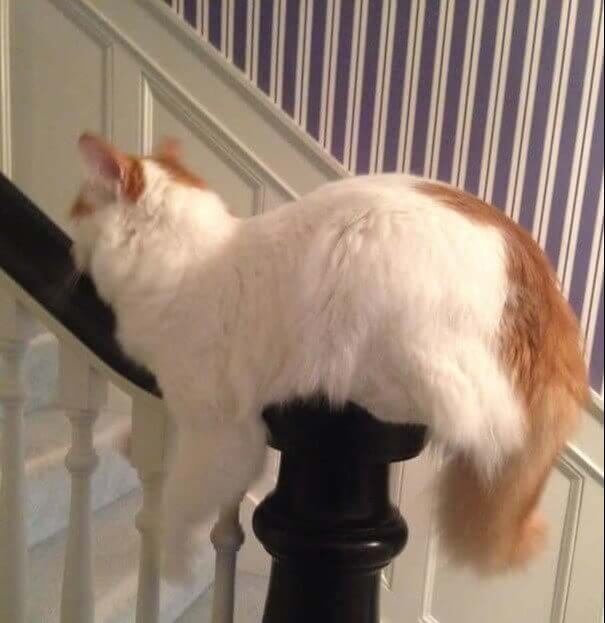 Slid Down And Got Stuck