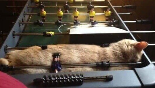 "No One Will Play Today"