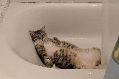 "Hey, Shut The Curtain And Get Out"