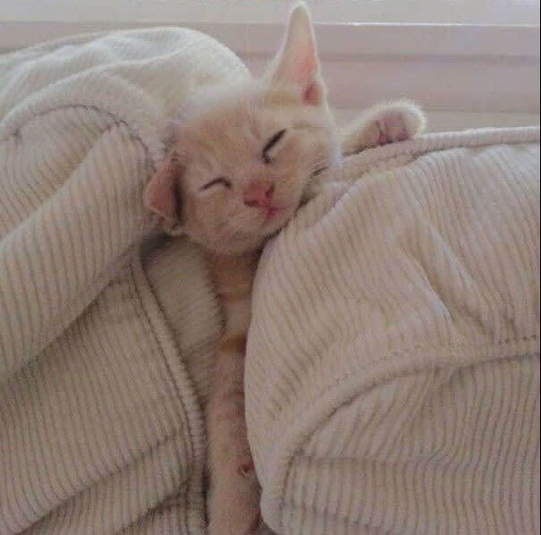 "What Happened Last Night?"