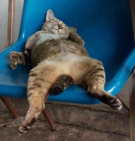 The After Lunch Look