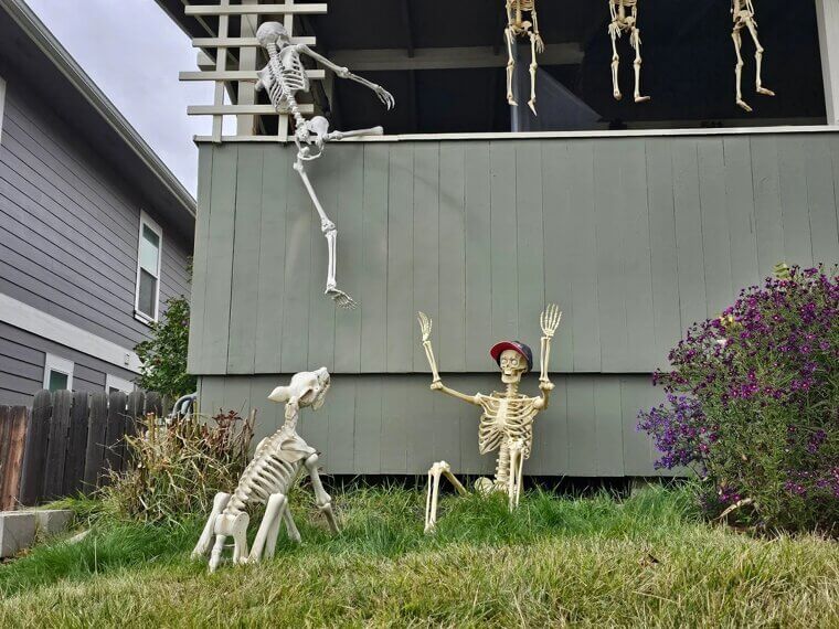 Skeleton Decor Ideas