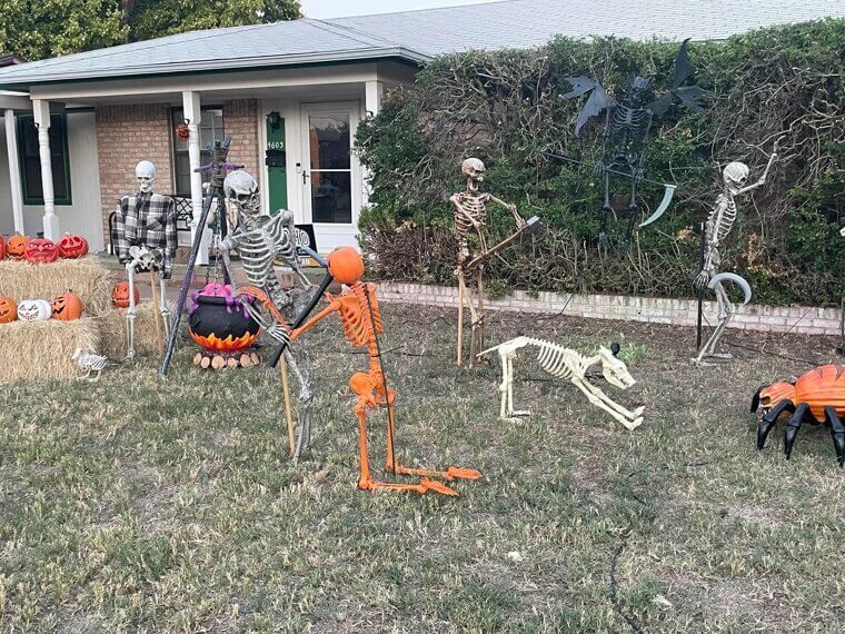 Skeleton Garden