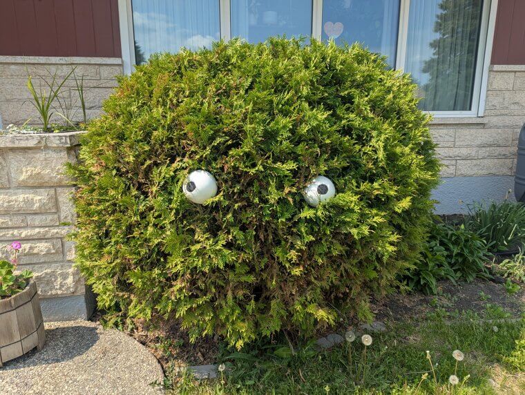 Monster Eyes