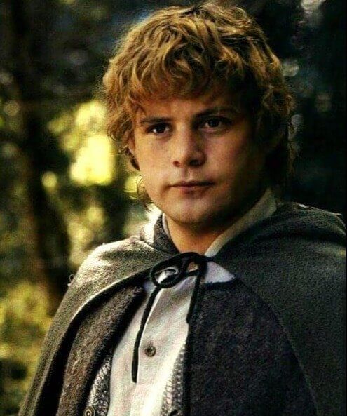 Sean Astin Voló Al Hospital Mientras Grababan The Lord of the Rings