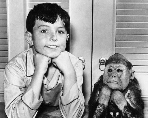 Jerry Mathers (Leave It to Beaver): The Beaver’s Life in Finance and Health