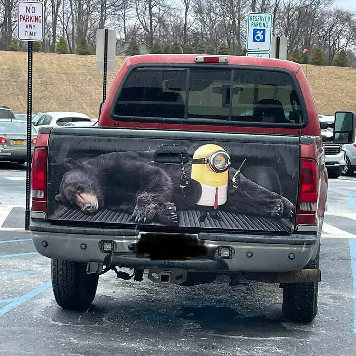 Ce conducteur aime les minions... Et les ours ?