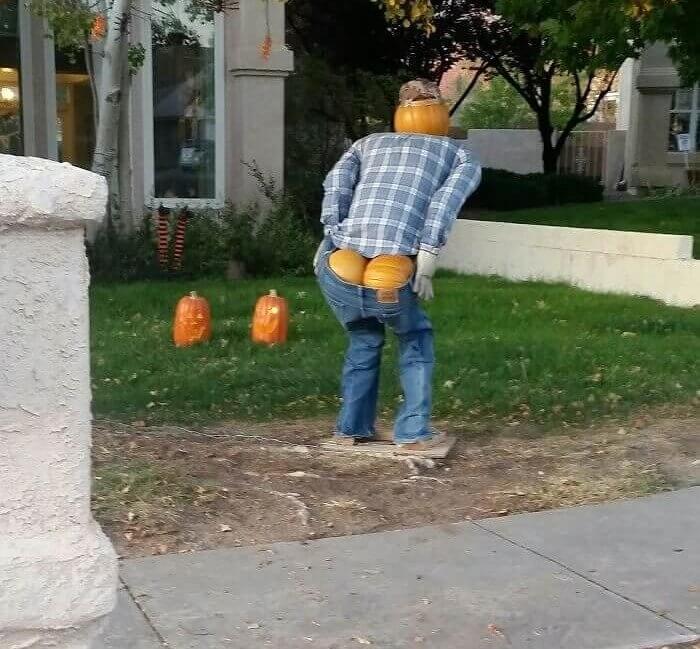 When They Rudely Moon You With Pumpkin Butt