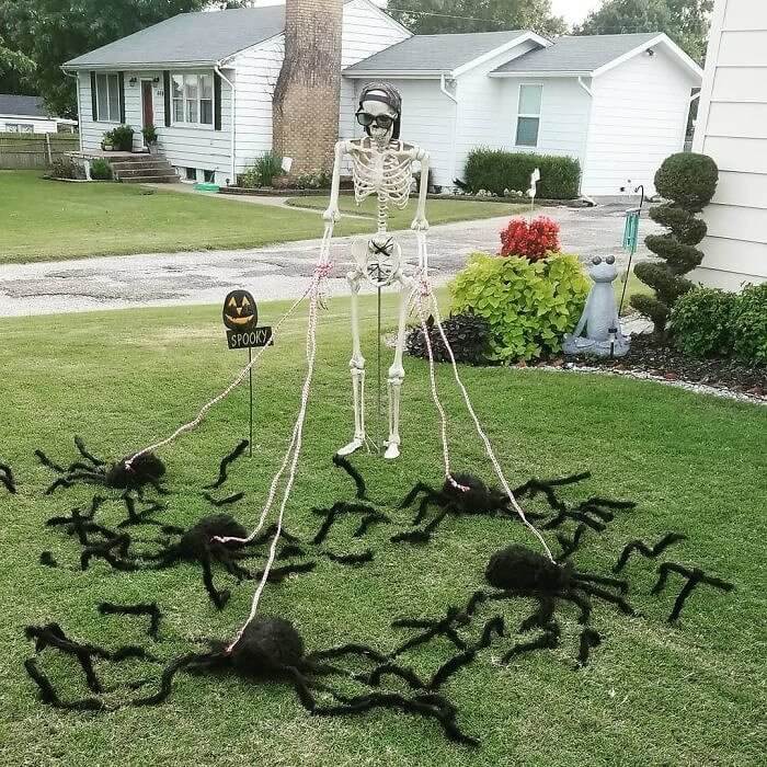 Just a Skeleton Taking His Spiders Out for a Walk