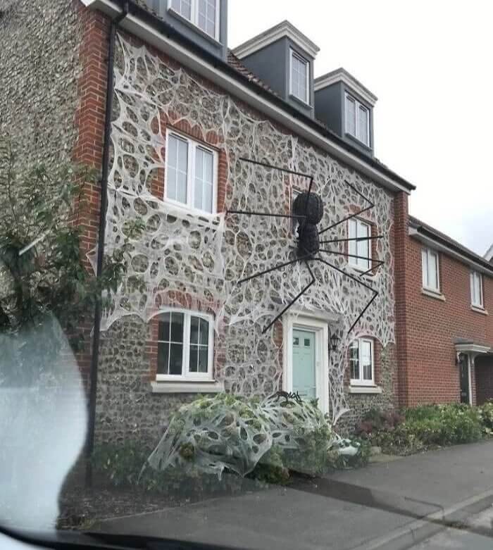 Pretty Sure This Place Is Infested