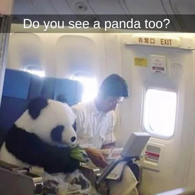 This Passenger Can't Bear To Be Apart From His Kids