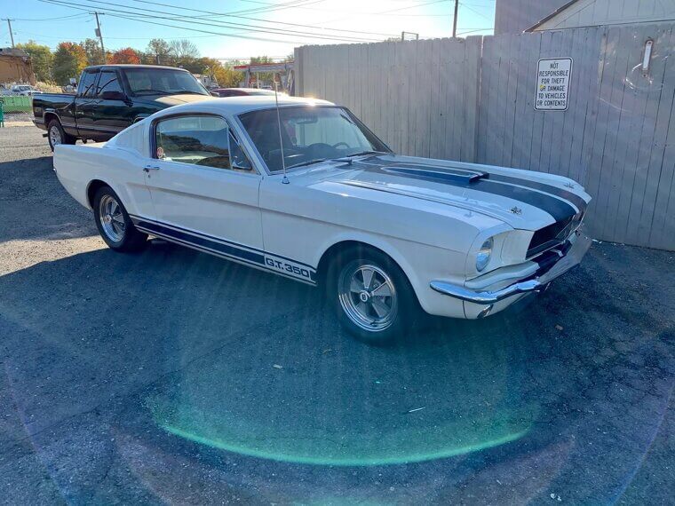 1965 Shelby Mustang GT350