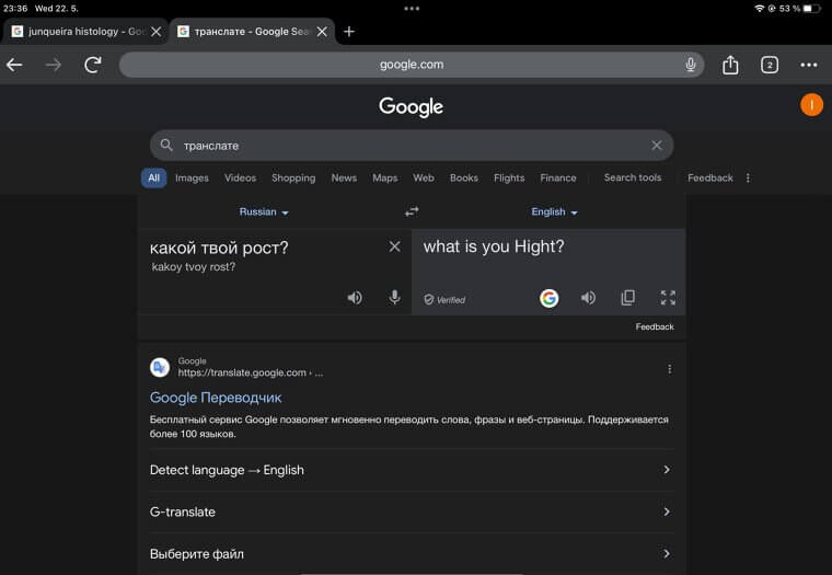 Interpreter or Translator