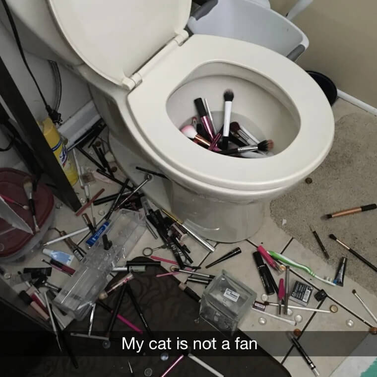 Flushing Away Makeup And Beauty Standards