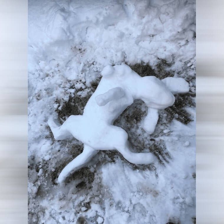 The Ultimate Snowdog