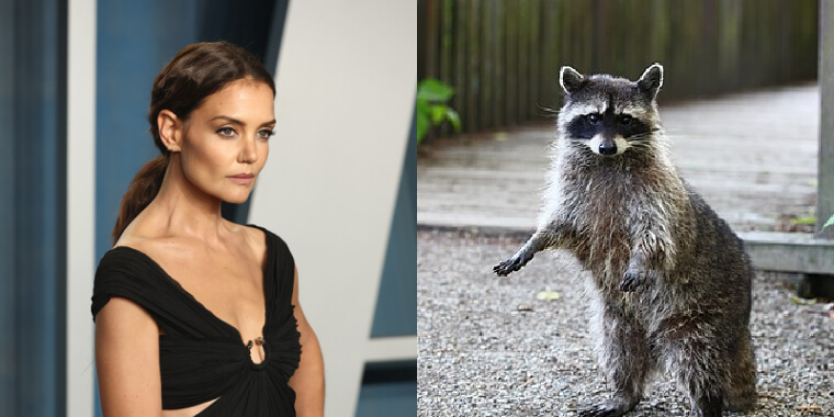 Katie Holmes Is Afraid of Raccoons