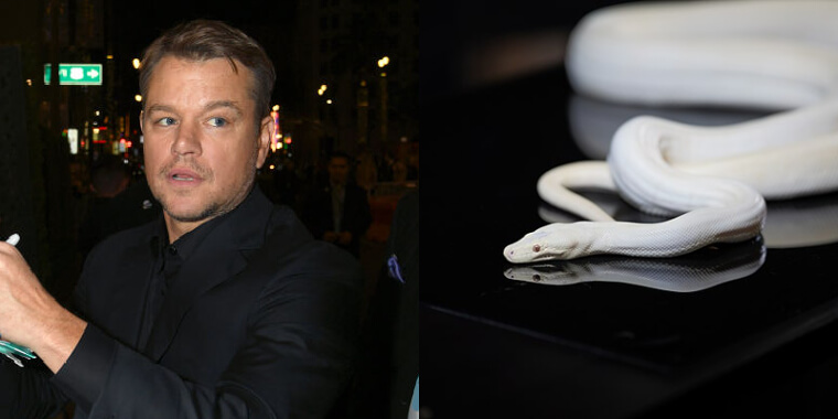 Matt Damon Is Afraid of Snakes