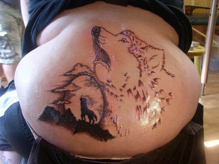 A Scared Wolf?