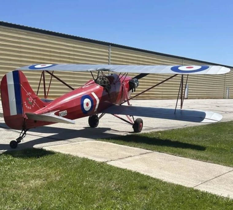 Rose Parrakeet - $25,000