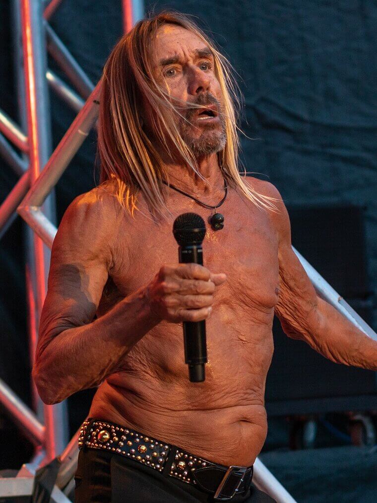 Iggy Pop and the Early Career Bankruptcy