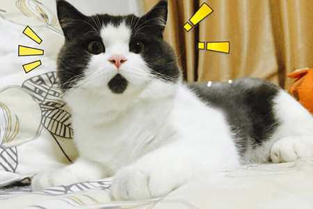 이 동물들은 자신들을 구별하는 매우 독특한 특징을 가지고 태어났다.