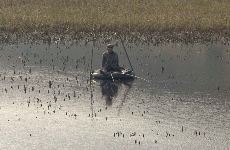 Cuando un neumático se convierte en un barco
