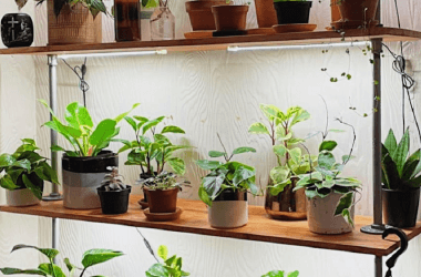 Simple Projects to Freshen Up Your Home Just in Time for Spring