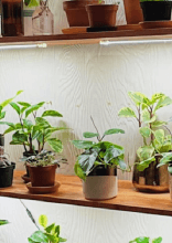 Simple Projects to Freshen Up Your Home Just in Time for Spring