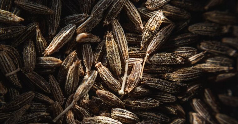 Cumin