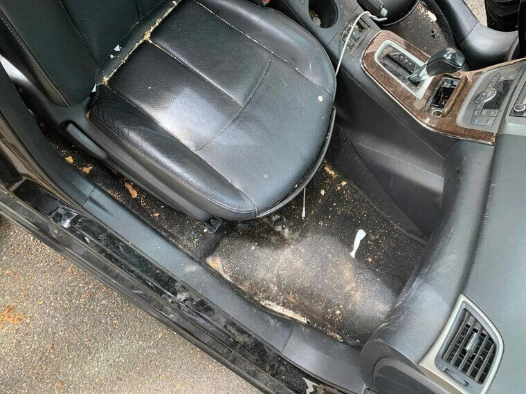 Dirty Interior