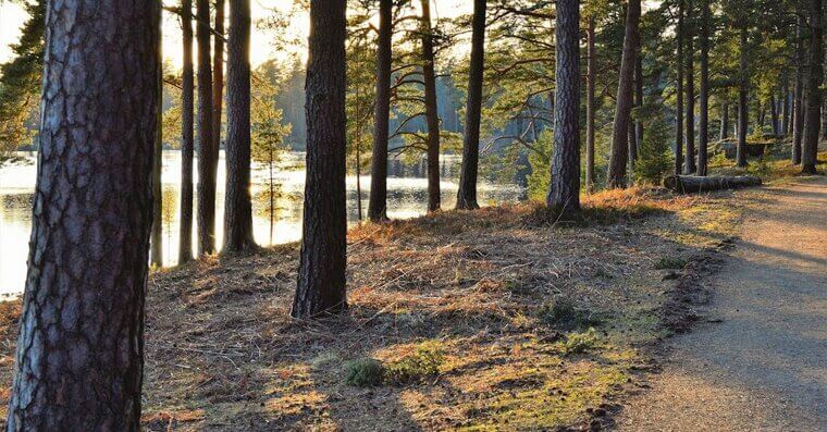 Stepping Outside for Fresh Air