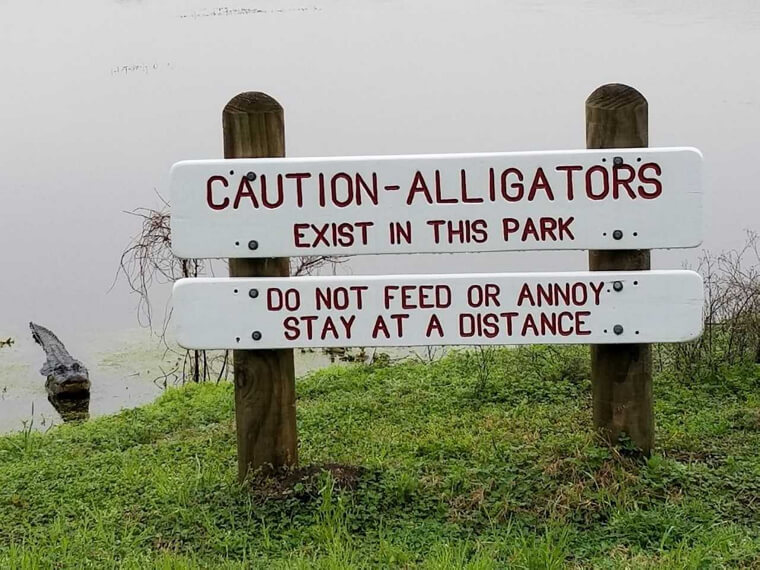 It Goes Without Saying…