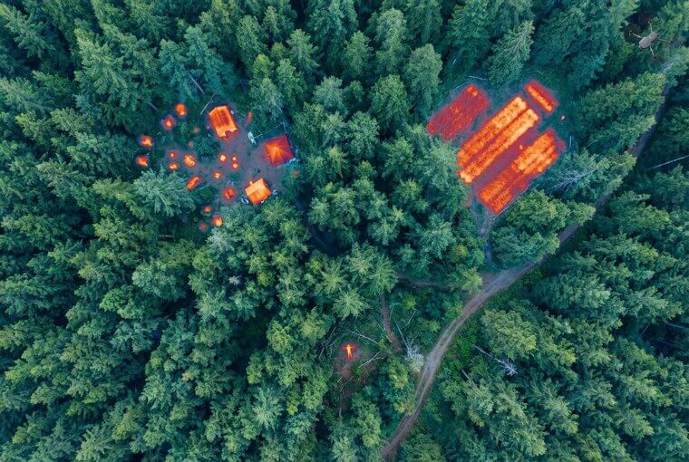 Forests Hide More Than You Think