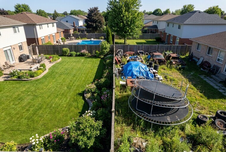 The Neighbor's Yard Isn't What It Seems