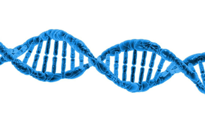 The Role of Genomics in Transforming Patient Treatment