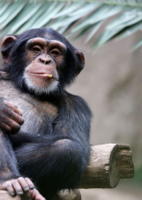 Fotos tiradas no momento perfeito com histórias engraçadas por trás delas