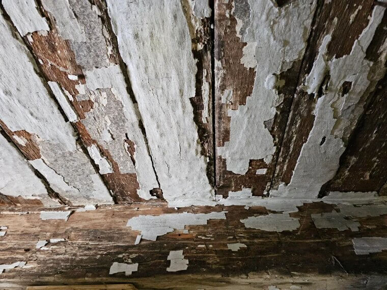 Asbestos or Lead Paint Removal