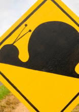 These Signs Are Wrong in All the Right Ways